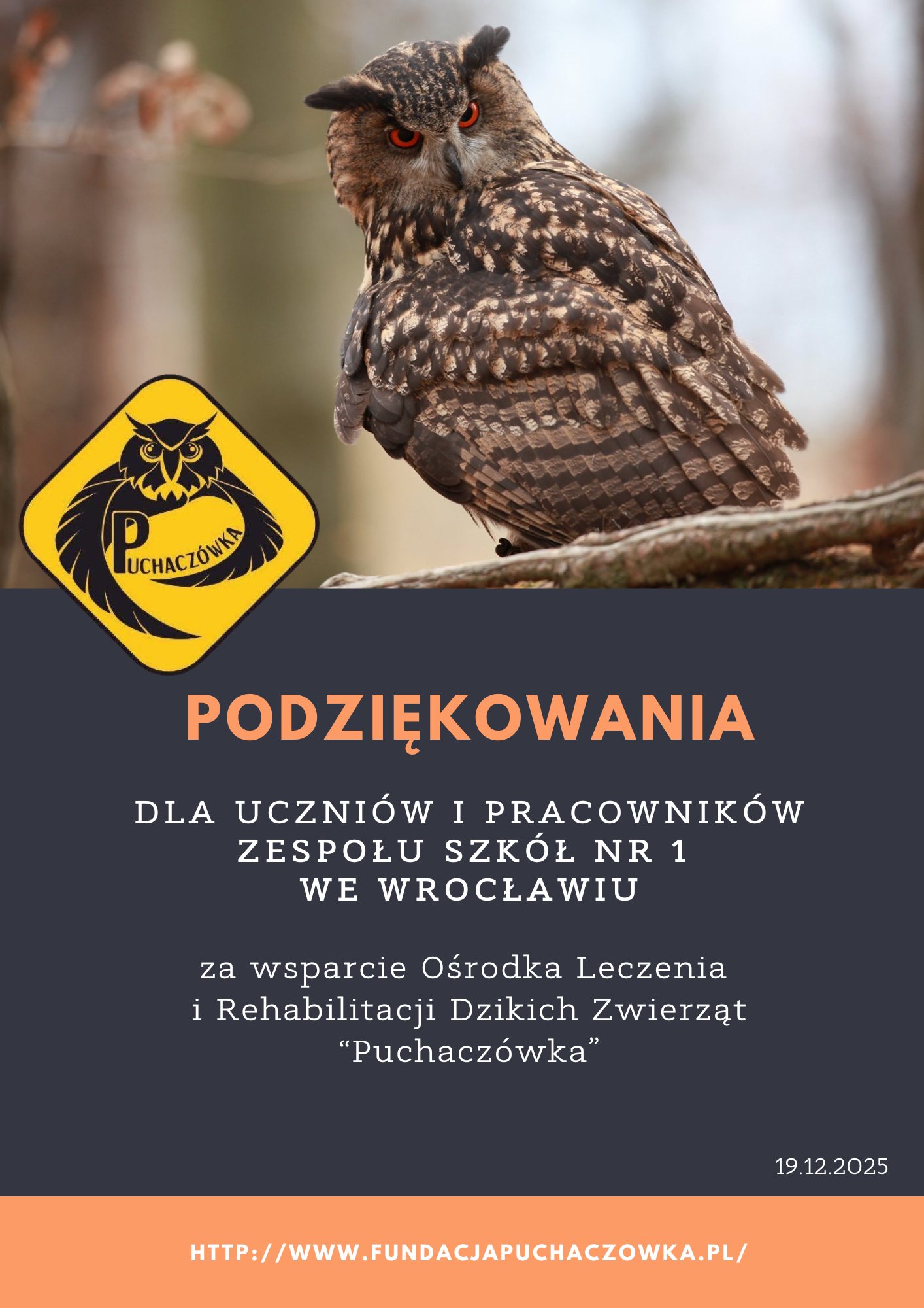 Dary dla zwierzaków.