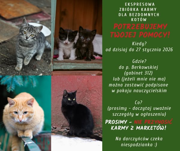 Zbiórką kociej karmy